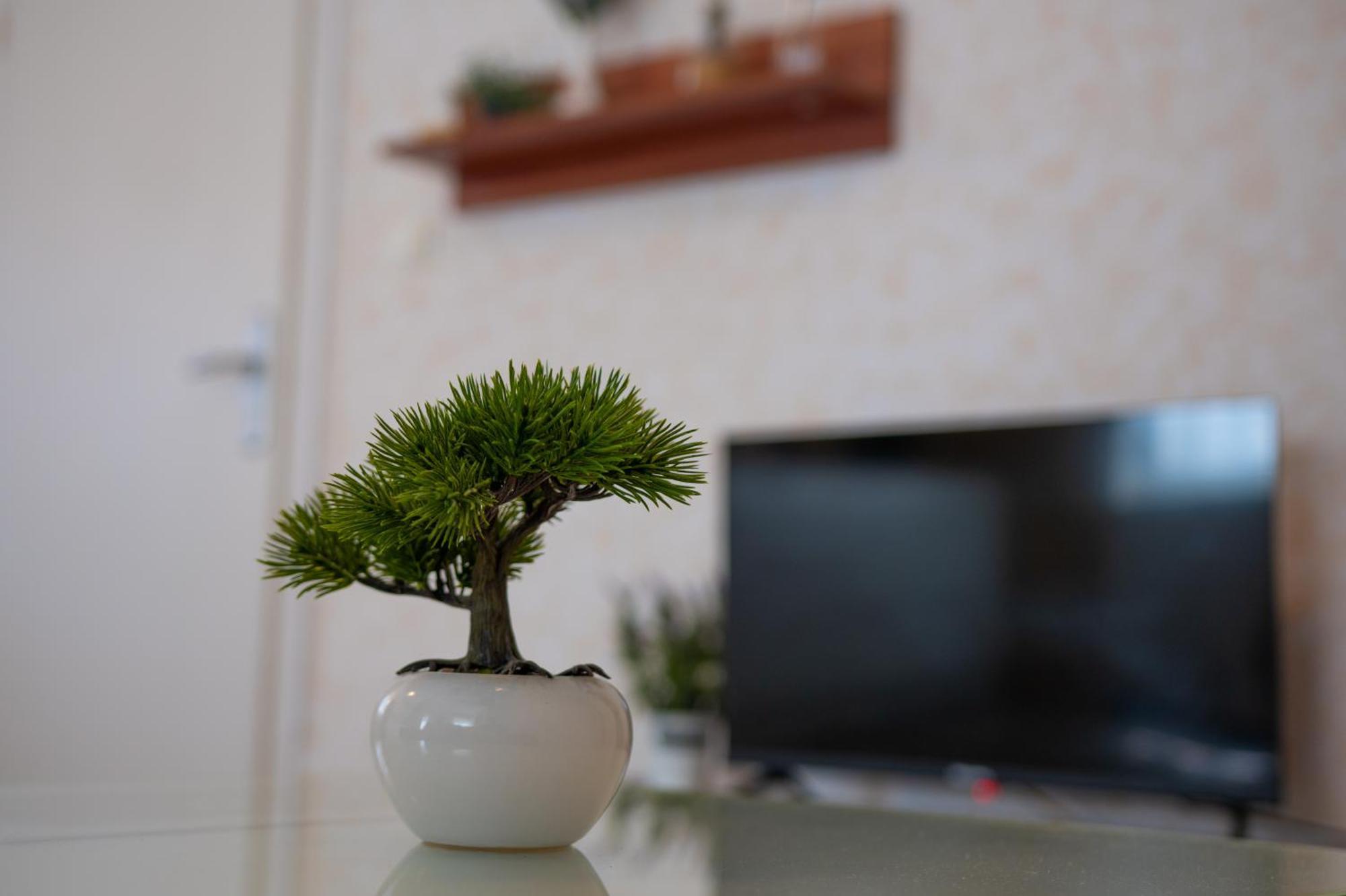 Apartments & Rooms Toni Split Zewnętrze zdjęcie